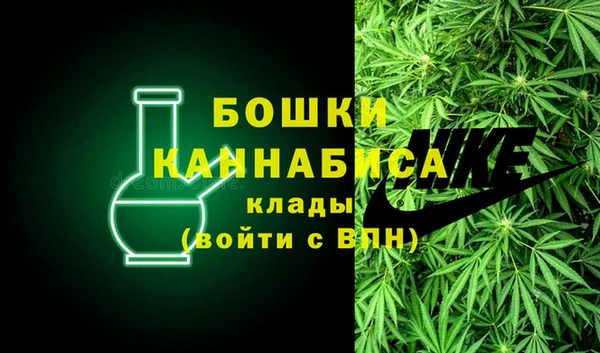 ALPHA PVP Инсар