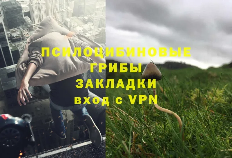 Галлюциногенные грибы Cubensis  ОМГ ОМГ рабочий сайт  Рославль 
