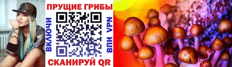 kraken ТОР  Рославль  Псилоцибиновые грибы мухоморы 