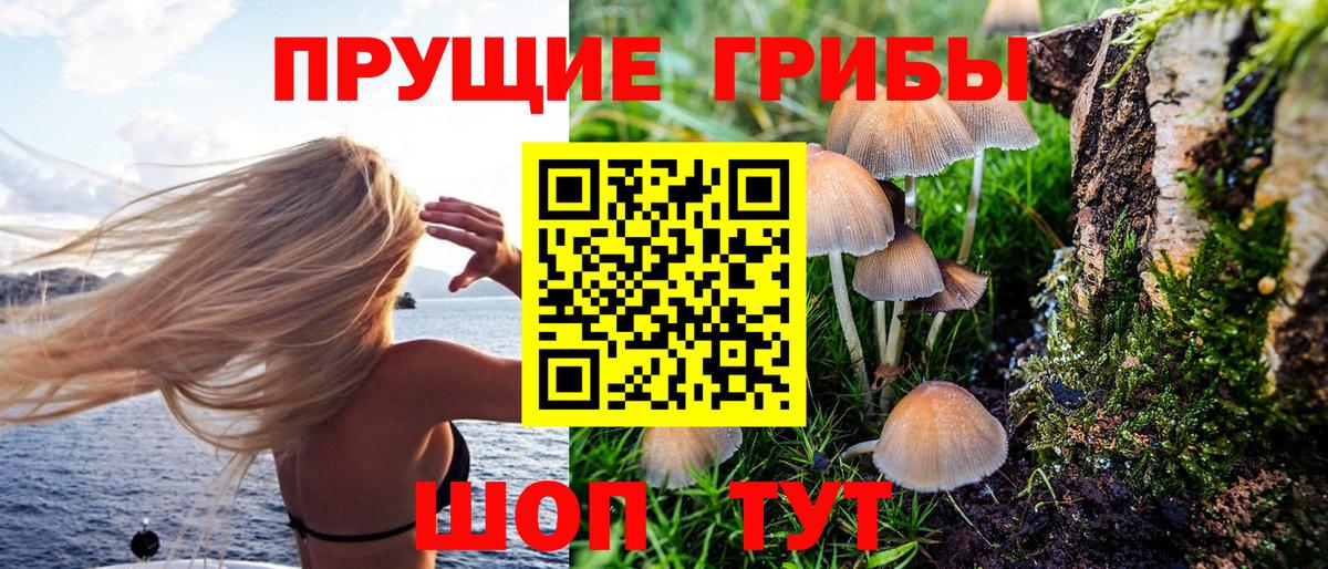 Псилоцибиновые грибы Psilocybine cubensis  Псилоцибиновые грибы MAGIC MUSHROOMS  купить наркотик  Вход с VPN  Рославль 